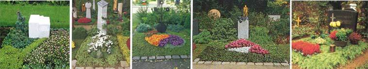 Vielf&auml;ltige Grabst&auml;tten mit Blumen und Grabschmuck, umgeben von Gr&uuml;npflanzen auf einem Friedhof.