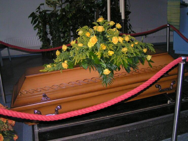 Holzkasten mit gelben Rosen und Gr&uuml;npflanzen, umgeben von roten Absperrseilen und Pflanzen im Hintergrund.