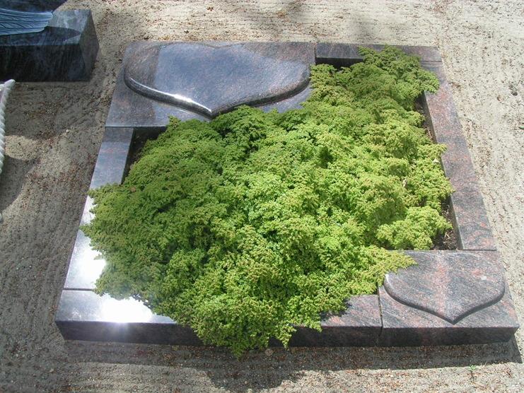 Granitgrabstein umgeben von gr&uuml;ner Pflanzenbedeckung auf einem mit Sand gef&uuml;llten Untergrund.