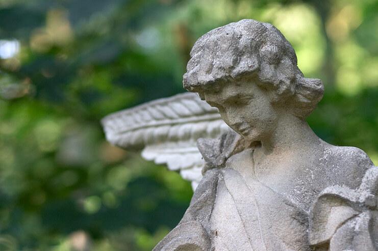 Skulptur eines Engels aus Stein mit gefalteten Fl&uuml;geln und sanftem Gesichtsausdruck, umgeben von gr&uuml;nem Hintergrund.